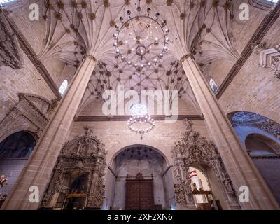 Cathédrale de Barbastro Huesca. Somontano Huesca. Cathédrale Santa María de la Asunción de Barbastro. Cathédrale gothique Banque D'Images