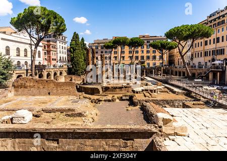 Largo di Torre Argentina construit sur une importante zone archéologique de l'époque romaine, aujourd'hui la plus ancienne colonie de chats de la ville, à Rome, en Italie. Banque D'Images