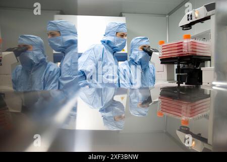 Salle blanche, observation de culture au microscope, laboratoire biopharmaceutique, développement et production de médicaments innovants à partir de cellules souches adultes, Banque D'Images