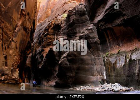 Une femme fait une randonnée à travers un lit de rivière dans le parc national de Zion à Springdale, Utah. Banque D'Images