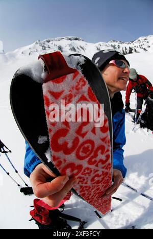 Une femme appliquant les peaux après une descente poudreuse de table Mountain. MT. Baker Backcountry. Glacier, Washington, États-Unis Banque D'Images