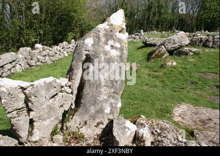 DIN Lligwy les restes de huttes vieillies en fer près de la côte d'Anglesey près de Moelfre, au nord du pays de Galles Banque D'Images