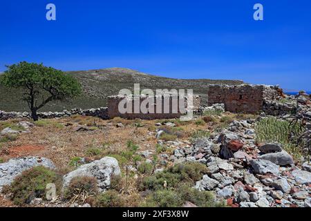 Vestiges d'une colonie sur le plateau de Pano Meri, Tilos, îles du Dodécanèse, sud de la mer Égée, Grèce. Banque D'Images