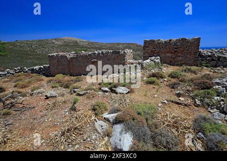 Vestiges d'une colonie sur le plateau de Pano Meri, Tilos, îles du Dodécanèse, sud de la mer Égée, Grèce. Banque D'Images