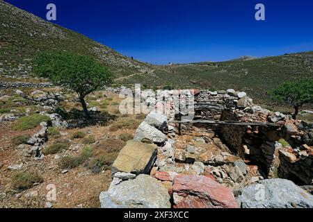 Vestiges d'une colonie sur le plateau de Pano Meri, Tilos, îles du Dodécanèse, sud de la mer Égée, Grèce. Banque D'Images