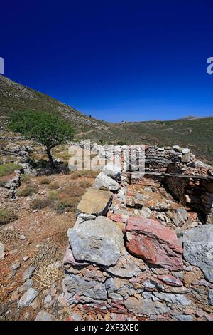 Vestiges d'une colonie sur le plateau de Pano Meri, Tilos, îles du Dodécanèse, sud de la mer Égée, Grèce. Banque D'Images