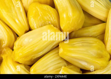 Jackfruit mûr morceaux jaunes gros plan fond de fruits. Banque D'Images