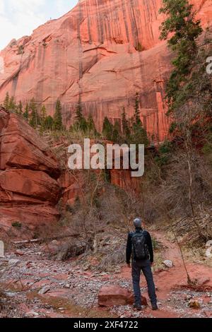 Randonneur masculin debout dans la crainte des imposantes formations rocheuses rouges à Kolob Canyons dans le parc national de Zion, Utah. Banque D'Images