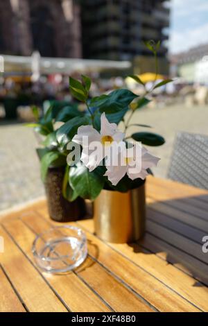 Fleurs blanches sur une table en bois avec le marché des agriculteurs en arrière-plan Banque D'Images