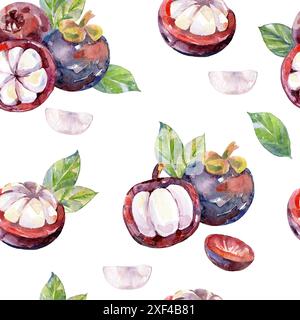 Motif sans couture. Illustration de fruits de mangoustan dessinée à la main à l'aquarelle. Banque D'Images