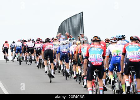 Turin, Italie. 01 juillet 2024. Le peloton de coureurs en action lors de l'étape 3 du Tour de France 2024, de plaisance, Italie à Turin, Italie (230, 5 km) le lundi 01 juillet 2024. La 111ème édition du Tour de France débute le samedi 29 juin et se termine à Nice le 21 juillet. BELGA PHOTO PETE Goding crédit : Belga News Agency/Alamy Live News Banque D'Images