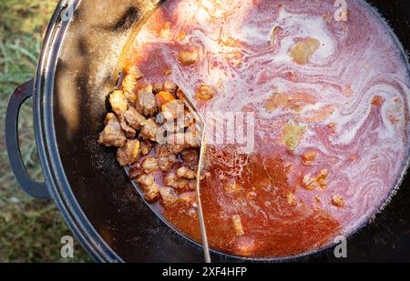 Viande grésillante dans une casserole avec une sauce colorée et bouillonnante. Les couleurs et les textures vibrantes le rendent idéal pour les thèmes culinaires Banque D'Images