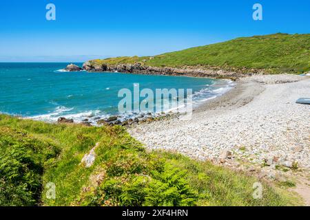 Plage d'Aber Bach sur la côte du Pembrokeshire, pays de Galles, Royaume-Uni Banque D'Images