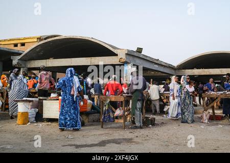 Nicolas Remene/le Pictorium - marché aux poissons à Nouakchott, Mauritanie. 28 juin 2024. Mauritanie/Nouakchott/Nouakchott - le marché aux poissons de Nouakchott avec sa plage et ses pirogues le 28 juin 2024. Il est considéré comme le principal marché de poisson frais de Nouakchott. On estime qu’entre 10 000 et 20 000 personnes s’y retrouvent chaque jour pour faire du commerce de poisson. En tant que telle, elle joue un rôle socio-économique très important dans le développement et la vie des habitants de la capitale. Crédit : LE PICTORIUM/Alamy Live News Banque D'Images