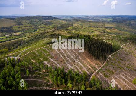 Vue aérienne, zone forestière endommagée, zone minière Littfeld Kindelsberg, vue lointaine des collines et des vallées, Ferndorf, Kreuztal, Rhénanie du Nord-Ouest Banque D'Images