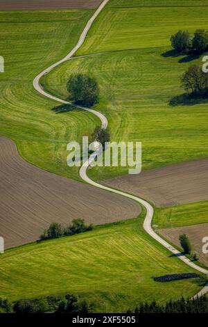 Vue aérienne, route serpentine entre prairies et champs près du village de Löttmaringhausen, arbres le long de la route, formes et couleurs, Berghausen, Banque D'Images