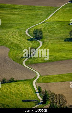 Vue aérienne, route serpentine entre prairies et champs près du village de Löttmaringhausen, arbres le long de la route, formes et couleurs, Berghausen, Banque D'Images