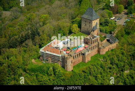 Vue aérienne, travaux de rénovation sur les ruines du château de Nideggen dans la zone forestière, château perché sur une colline et monument de l'Eifel du Nord dans les Hautes Fens-Ei Banque D'Images