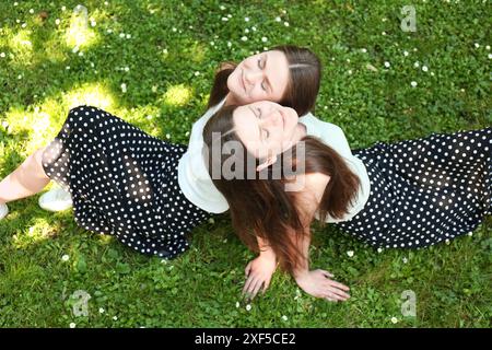 Deux belles soeurs jumelles passant du temps ensemble dans le parc, vue au-dessus Banque D'Images