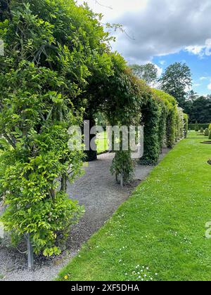 Tunnels faits de plantes et d'herbe verte dans le parc Banque D'Images