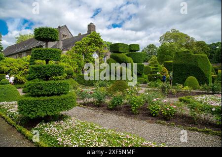 Topiary à Levens Hall, Cumbria, Angleterre, Royaume-Uni Banque D'Images