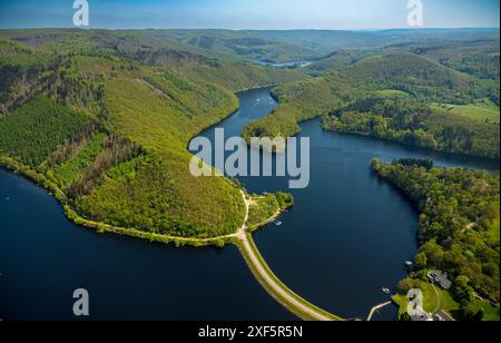 Vue aérienne, Rursee et rive est de l'Obersee avec zone boisée vallonnée, Paulushofdamm, Rurberg, Simmerath, Rhénanie du Nord-Westphalie, Allemagne, Aeria Banque D'Images