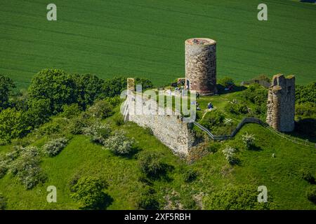 Vue aérienne, château de Desenberg sur un cône volcanique, vue historique, ruines d'un château perché dans le Warburg Börde, visiteurs sur la plate-forme d'observation, Banque D'Images