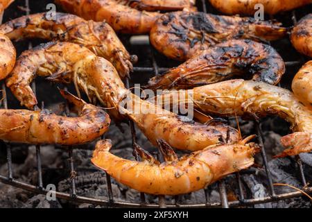 plusieurs grosses crevettes cuites sur le barbecue, gros plan Banque D'Images