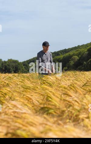 Agriculteur mâle vérifiant les épis de blé de sa récolte dans un champ Banque D'Images