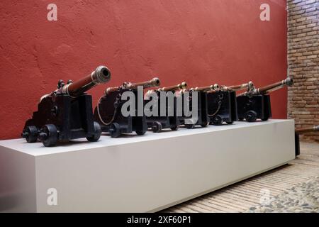 Collection de bateaux de plaisance exposés au Museo de Falúas Reales dans le jardin del principe près de la jetée d'Aranjuez, Madrid, Espagne, Europe. Banque D'Images