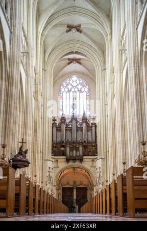 Vue intérieure de la cathédrale Saint Pierre et Saint Paul de Nantes, France, mettant en valeur son architecture étonnante et son orgue grandiose. Banque D'Images