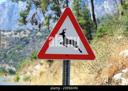 Panneau de signalisation avertissant du danger dû aux passages d'élan en Turquie Banque D'Images