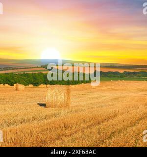 Balles de foin sur le champ agricole doré. Banque D'Images