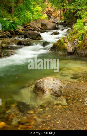 Kelsey Creek, Klamath Wild et Scenic River, forêt nationale de Klamath, Californie Banque D'Images