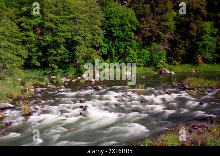 Scott River, Klamath Wild et Scenic River, forêt nationale de Klamath, Californie Banque D'Images