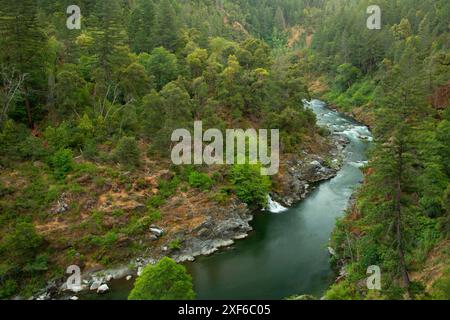 Salmon River, Klamath Wild and Scenic River, forêt nationale de Klamath, Californie Banque D'Images