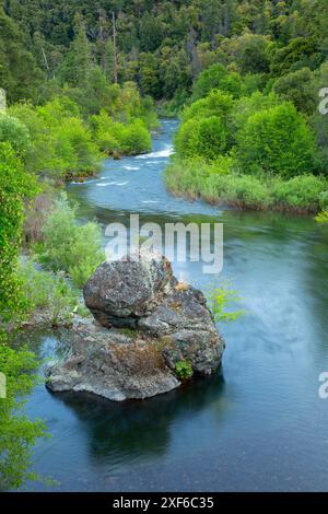 South Fork Salmon River, Klamath Wild and Scenic River, forêt nationale de Klamath, Californie Banque D'Images