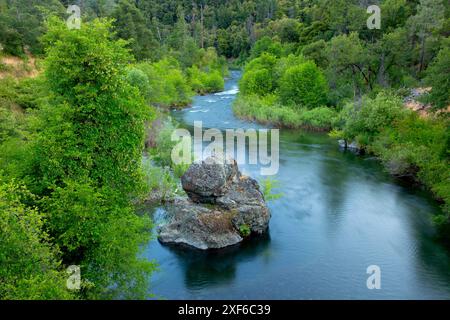 South Fork Salmon River, Klamath Wild and Scenic River, forêt nationale de Klamath, Californie Banque D'Images