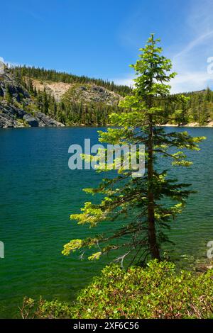 Lac Kangaroo, forêt nationale de Klamath, Californie Banque D'Images