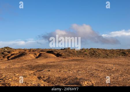 Couleur orange d'un sol sablonneux, plein de gravier et de grosses pierres. Couleur soulignée par heure dorée. Sol sec et désolé. Lanzarote, Îles Canaries, S. Banque D'Images