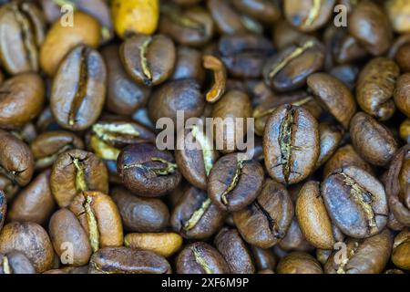 Gros plan de nombreux grains de café torréfiés, mettant en évidence leurs riches teintes brunes et leurs surfaces texturées. La perspective macro révèle la complexité Banque D'Images