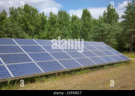 Panneaux solaires dans un champ, foyer sélectif. Banque D'Images