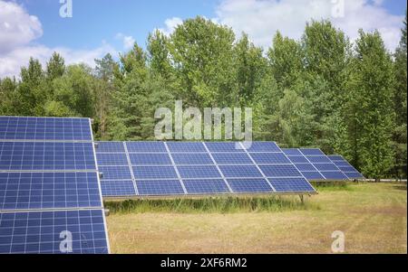 Panneaux solaires dans un champ, foyer sélectif. Banque D'Images