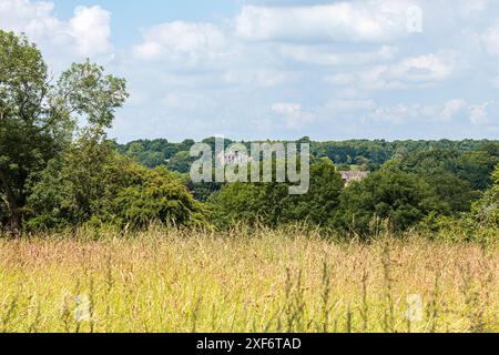 Une longue vue de Lypiatt Park de l'est, près du village Cotswold de Bisley, Gloucestershire, Angleterre Royaume-Uni. Banque D'Images