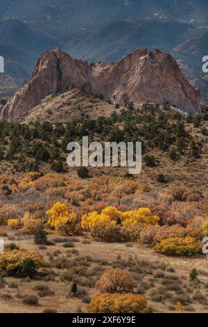 États-Unis, Colorado, Colorado Springs. Arbres de cottonwood d'automne et montagne dans Garden of the Gods Park. Banque D'Images