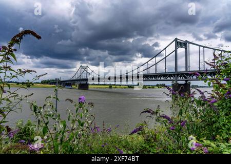 Die Krefeld-Uerdinger Brücke über den Rhein, zwischen Krefeld und Duisburg, Bundesstraße von 1936, 858 Meter lang, Brückenschäden B228, weist schwere eingeschränkter auf, Brücke Verkehr auf der Rheinbrücke, soll ersetzte werden, NRW, Deutschland, Krefeld-Uerdinger Zügelgurtbrücke *** le pont Krefeld Uerdingen sur le Rhin, entre Krefeld et Duisburg, rein ceinture pont de 1936, 858 mètres de long, route fédérale B228, montre de graves dommages au pont, circulation restreinte sur le pont, à remplacer, NRW, Allemagne, Krefeld Uerdingen Rhin Bridge Banque D'Images