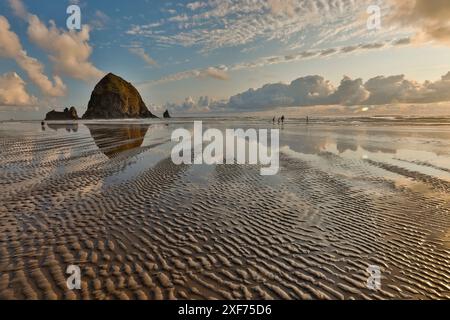États-Unis, Oregon, Cannon Beach. Coucher de soleil couleurs dorées avec des ondulations dans la plage de sable et le Haystack Rock Banque D'Images