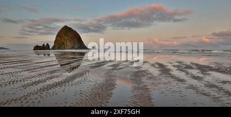 États-Unis, Oregon, Cannon Beach. Coucher de soleil couleurs dorées avec des ondulations dans la plage de sable et le Haystack Rock Banque D'Images