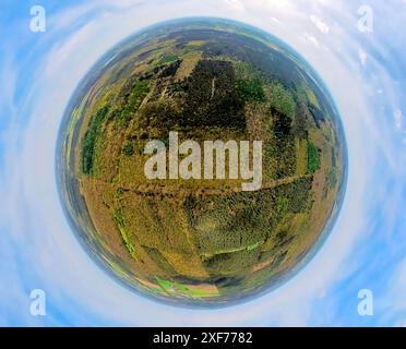 Vue aérienne, cimetière de guerre de la forêt de Reichswald, cimetière militaire britannique et cimetière de guerre, zone forestière mixte, globe terrestre, image fisheye, 360 DEG Banque D'Images