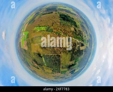 Vue aérienne, cimetière de guerre de la forêt de Reichswald, cimetière militaire britannique et cimetière de guerre, zone forestière mixte, globe terrestre, image fisheye, 360 DEG Banque D'Images